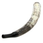 Galvijų ragas - Image 7