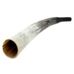 Galvijų ragas - Image 9