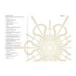 Virtuoziško dambrelio grojimo mokymasis - Image 2