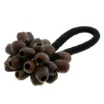 Sėklų ankštų barškutis Kemiri