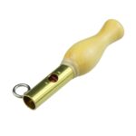 Pučiamasis paukščio švilpukas - giesmininkas strazdas