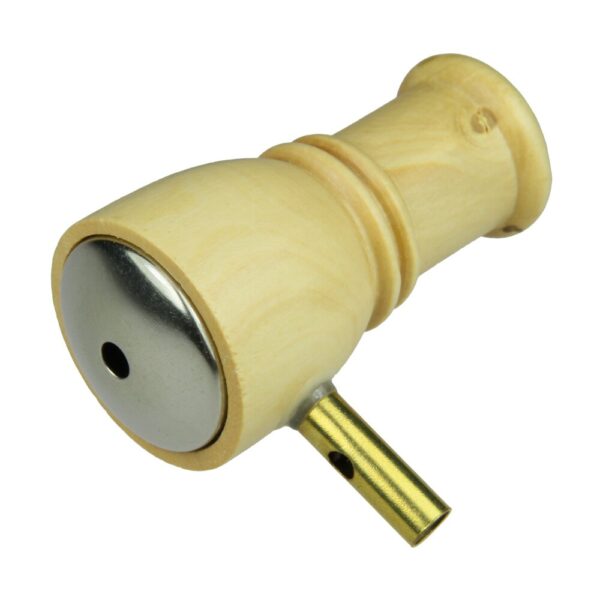 Paukščio Švilpukas Dainuojantis Strazdas