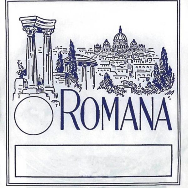 Romana styga smuikui
