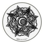 Remo ARTBEAT Artist Collection Aric Improta 14" 14" būgno plastikas
