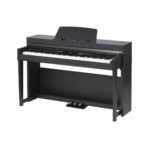 Medeli DP-460K