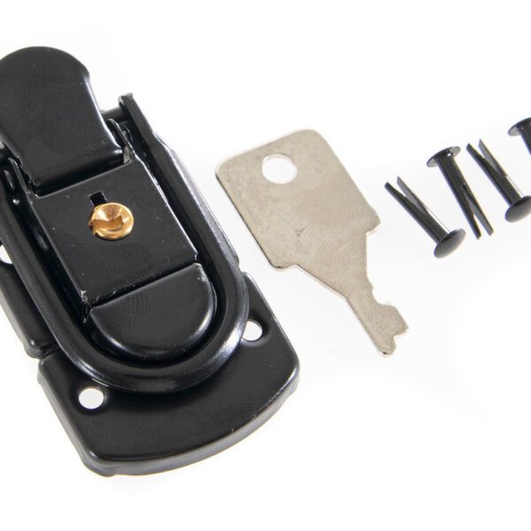 GEWA Bio I S - formuotas smuiko dėklas, Lock black