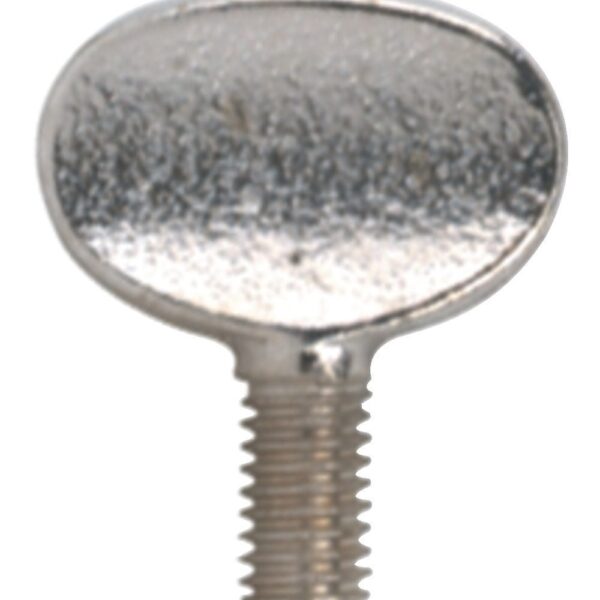 GEWA Replacement screw - smaigas smuikui