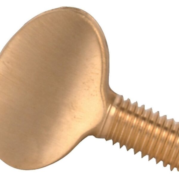 GEWA Replacement screw - smaigas smuikui, Brass short