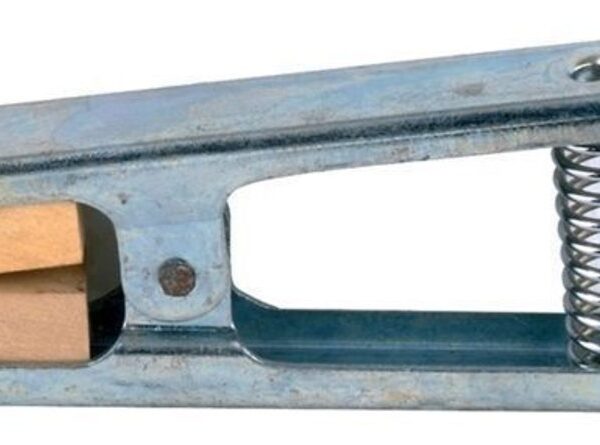 GEWA F-hole clamp Set - liutnininko įrankis smuikui