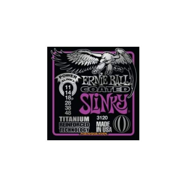 ERNIE BALL EB3120