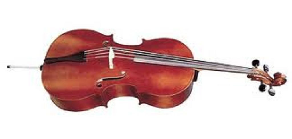 Violončelė 40/1 C Strunal