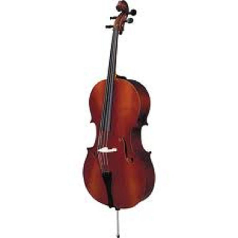 Violončelė 40/4 C Strunal