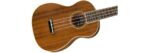 FENDER ZUMA CONCERT UKULELE