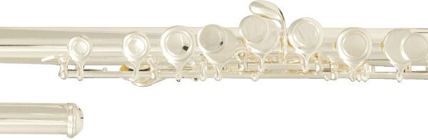 SML Paris soprano FL50 FLEITA VAIKAMS