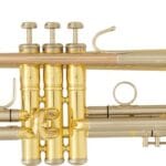 SML Paris BB Trimitas TP500