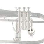 SML Paris Silver plated